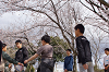 hana31 (292)_thumb.png